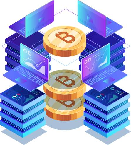 How does Bitpace whitelabel solution work?