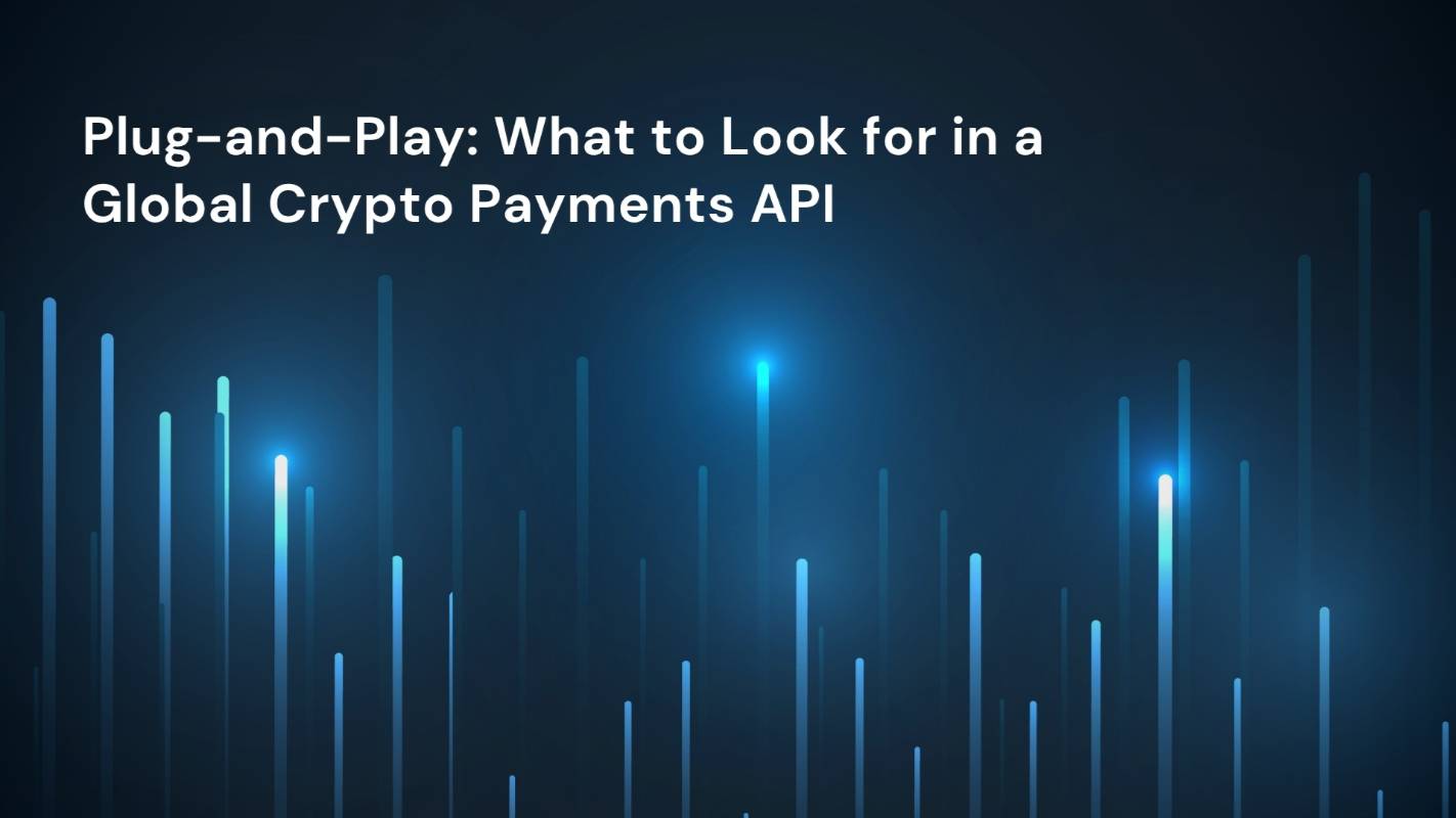 Plug-and-Play: What to Look for in a Global Crypto Payments API - Blog -  Bitapce