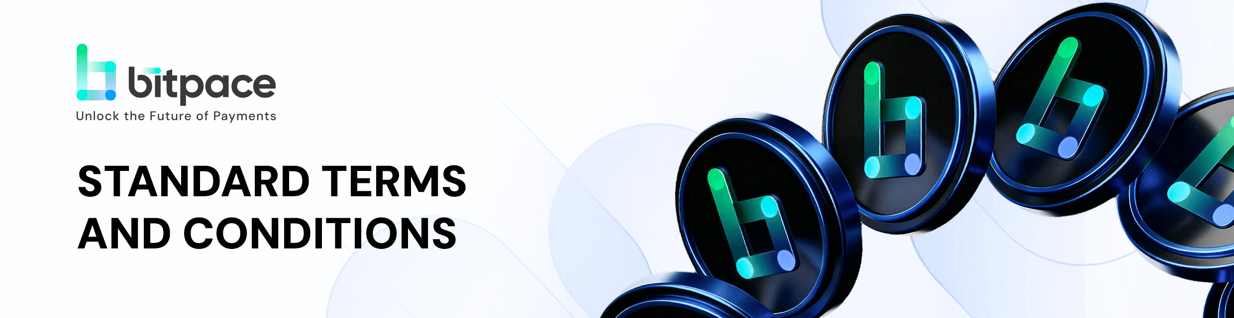 Standard Terms and Conditions