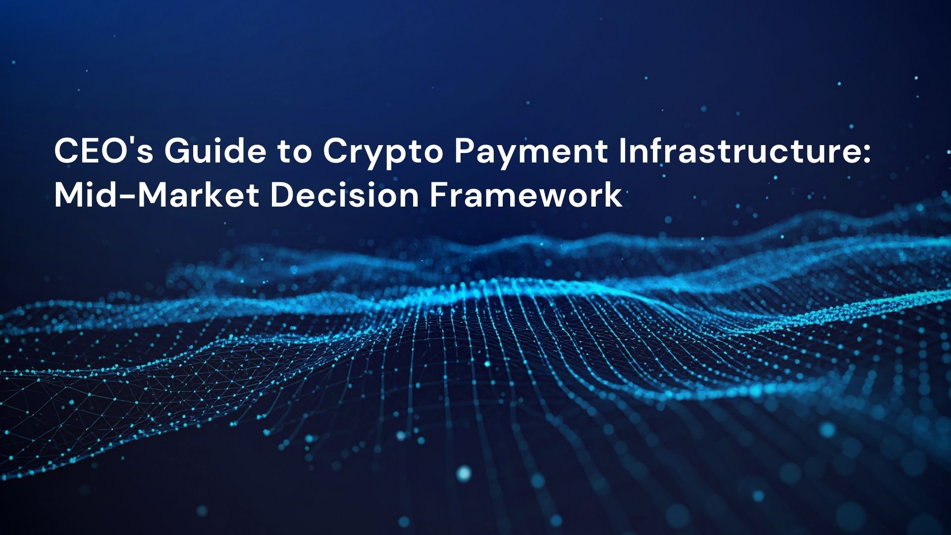 CEO’s Guide to Crypto Payment Infrastructure: Mid-Market Decision Framework
