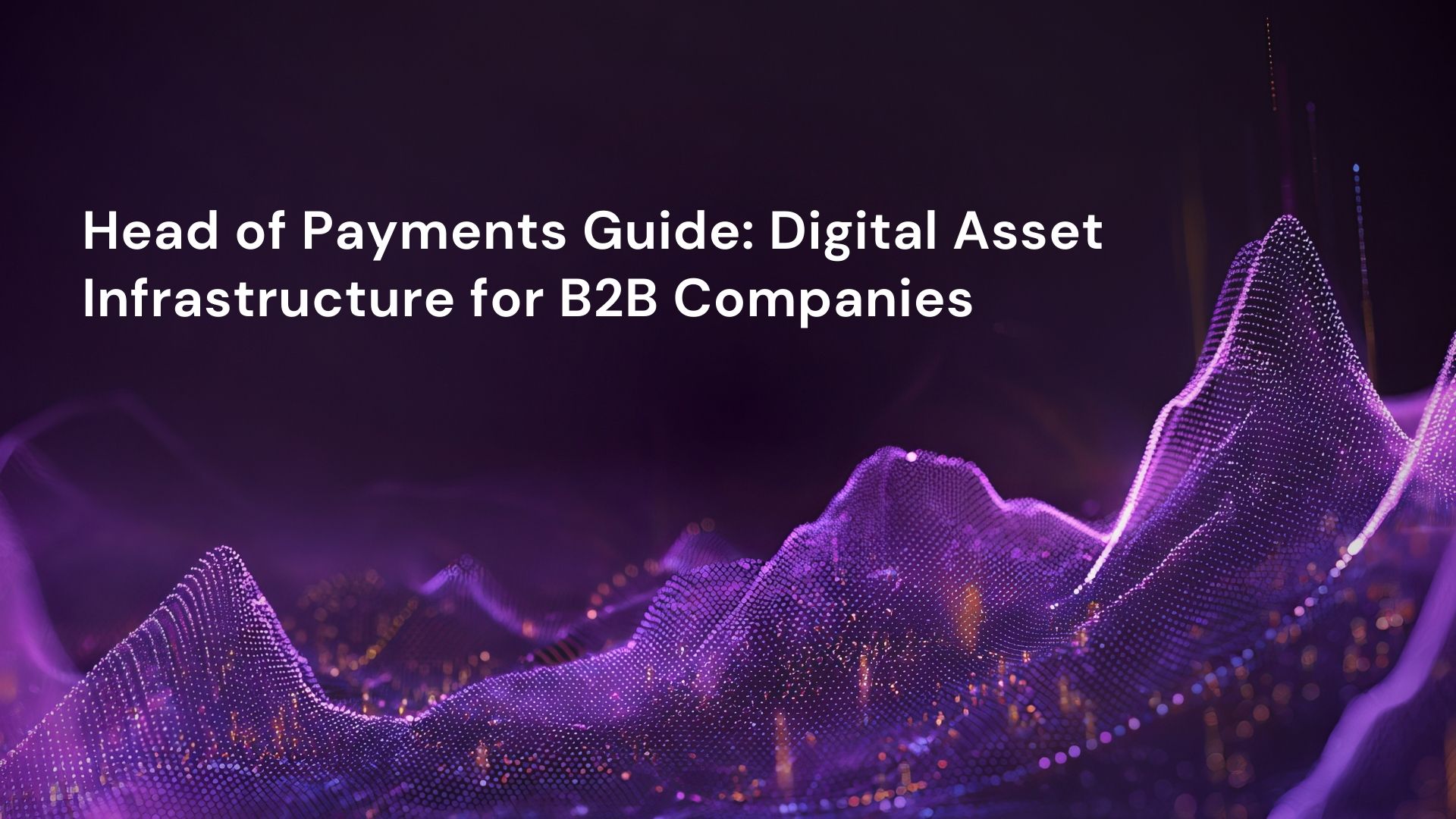 Head of Payments Guide: Digital Asset Infrastructure for B2B Companies