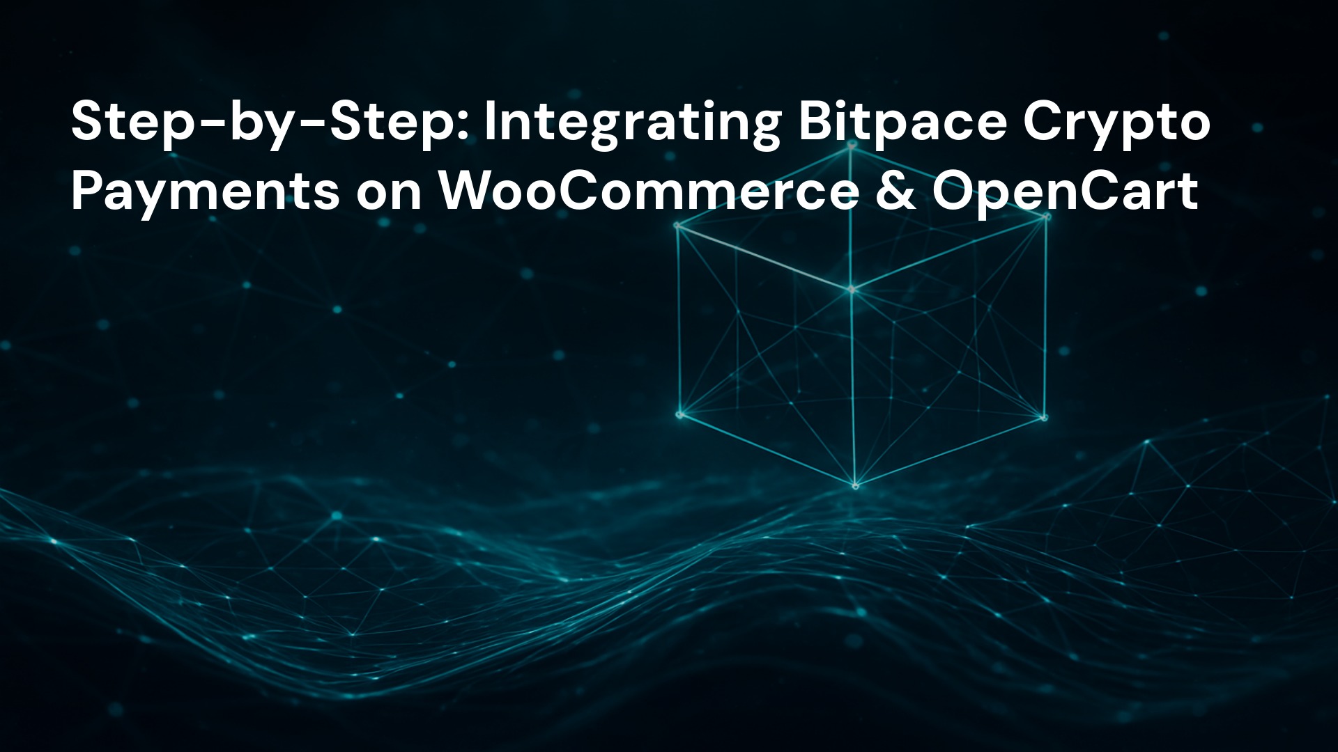 Step-by-Step: Integrating Bitpace Crypto Payments on WooCommerce & OpenCart